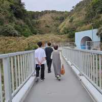 【千葉県】天然の水族館！勝浦海中公園展望台°･🐠