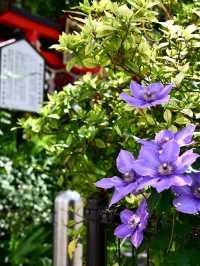 【草分稲荷神社/東京都】木彫りの恵比寿様と大黒様が見守る