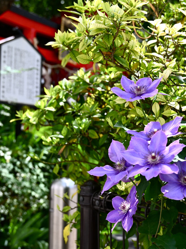 【草分稲荷神社/東京都】木彫りの恵比寿様と大黒様が見守る