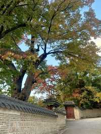 서울여행으로 가기 좋은 창덕궁