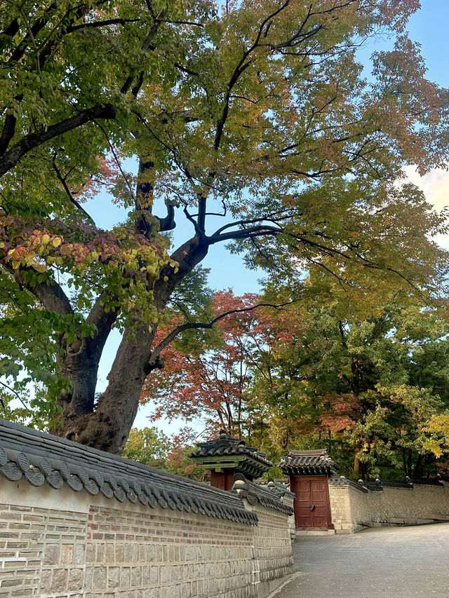 서울여행으로 가기 좋은 창덕궁