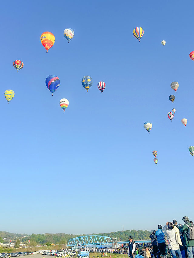 【長野/佐久】県下最大級の熱気球大会🎈一斉に飛ぶ瞬間は感動！