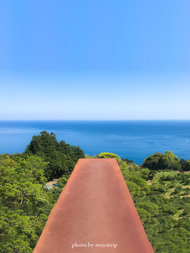 【神奈川】建築美と自然豊かな景色の融合
