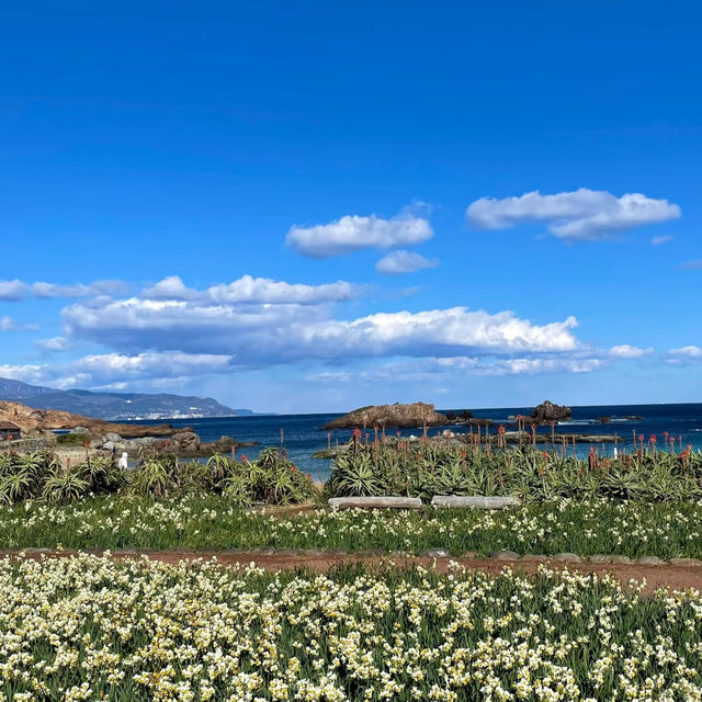 式根島：日式風情山海環景