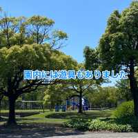 愛知県東海市　元浜公園のバラ園