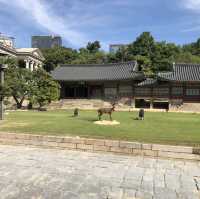 서울여행-동서양이 공존하는 덕수궁