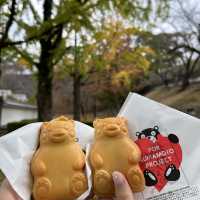 熊本熊部長熊形燒 在櫻之馬場城彩苑😋
