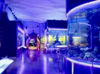 Bueng Boraphet Aquarium