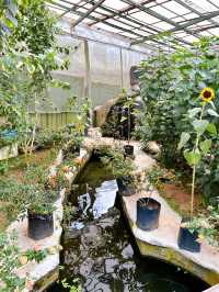 Beautiful Butterfly Wonderland