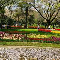 臺北樂活花園：自然景緻都市綠洲