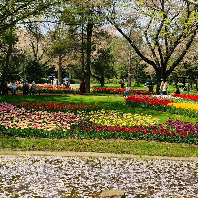 臺北樂活花園：自然景緻都市綠洲