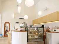 มาเล่นน้องแมวที่ Spring day cafe