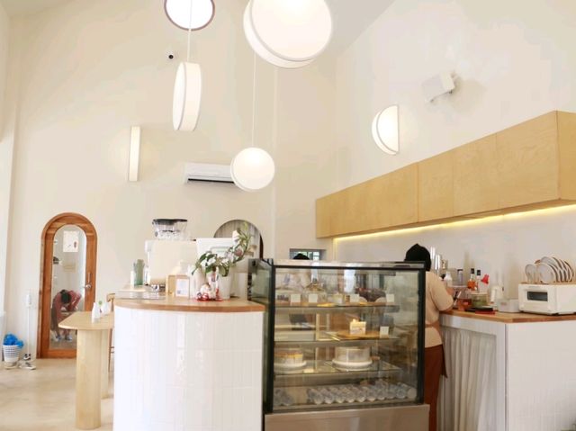 มาเล่นน้องแมวที่ Spring day cafe