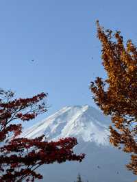 富士山景點之一·新倉富士淺間神社