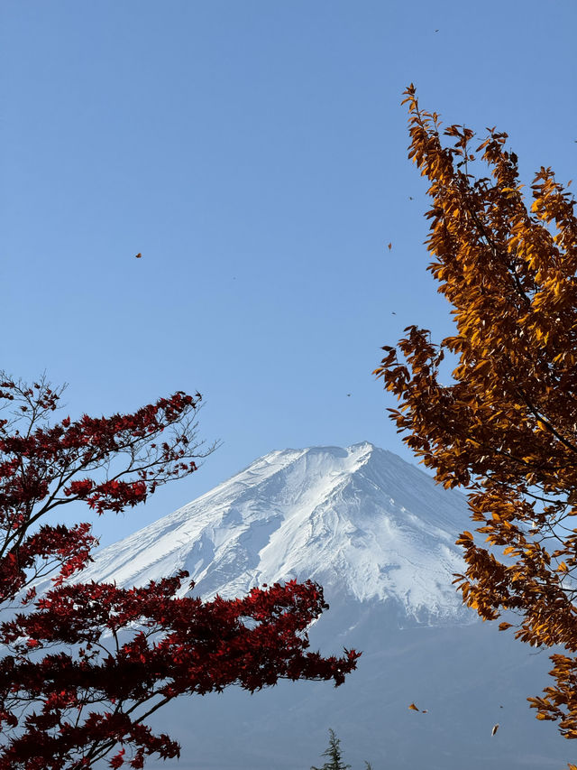 富士山景點之一·新倉富士淺間神社