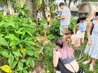 綠山野生動物園 超過300種動物的泰國大型動物園