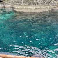  the Majestic Beauty of Cathedral Cave 