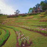 มาชมทะเลหมอกยามเข้า ที่อุทยานแห่งชาติห้วยน้ำดัง