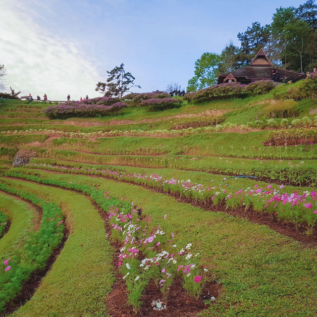 มาชมทะเลหมอกยามเข้า ที่อุทยานแห่งชาติห้วยน้ำดัง