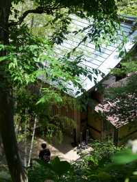 【鎌倉/長谷寺】高台から見る海と紫陽花は天国のよう