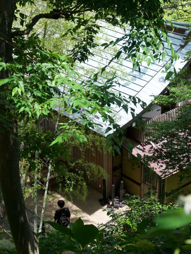 【鎌倉/長谷寺】高台から見る海と紫陽花は天国のよう