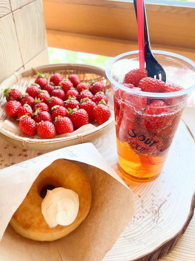 【福岡カフェ】福岡で東京で大人気のヒグマドーナツが食べられる！