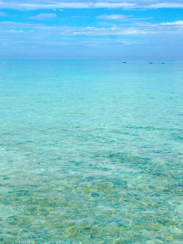 【沖縄・石垣】まるで天国！絶景の幻の島🏝️🌺✨