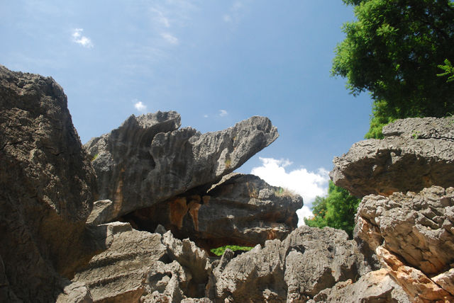 Stone Forest, The Wonder under the Heaven