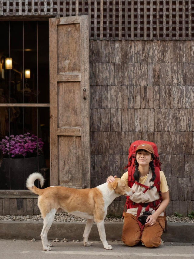แม่กำปอง 🧡🧡