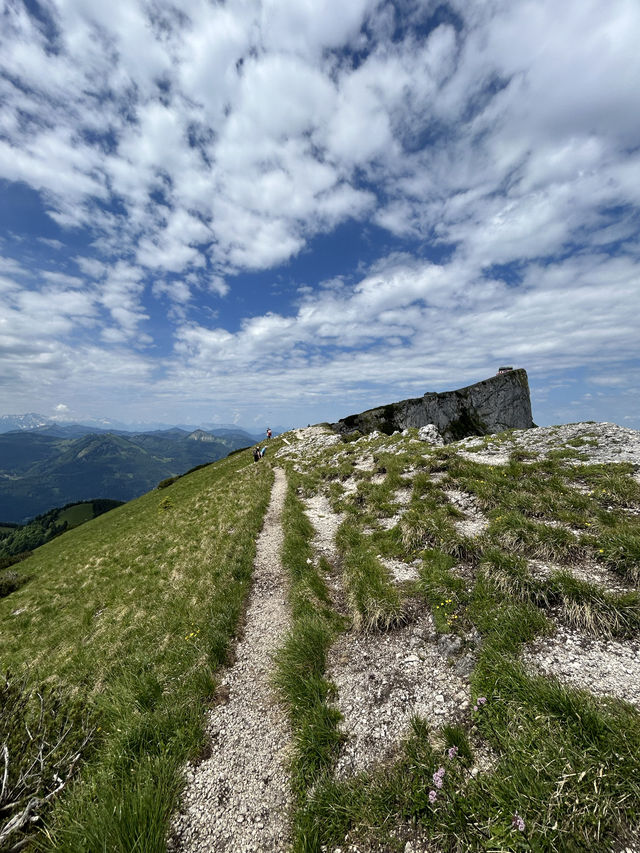 【オーストリア🇦🇹】シャーフベルク登山鉄道に乗って絶景山歩き⛰️