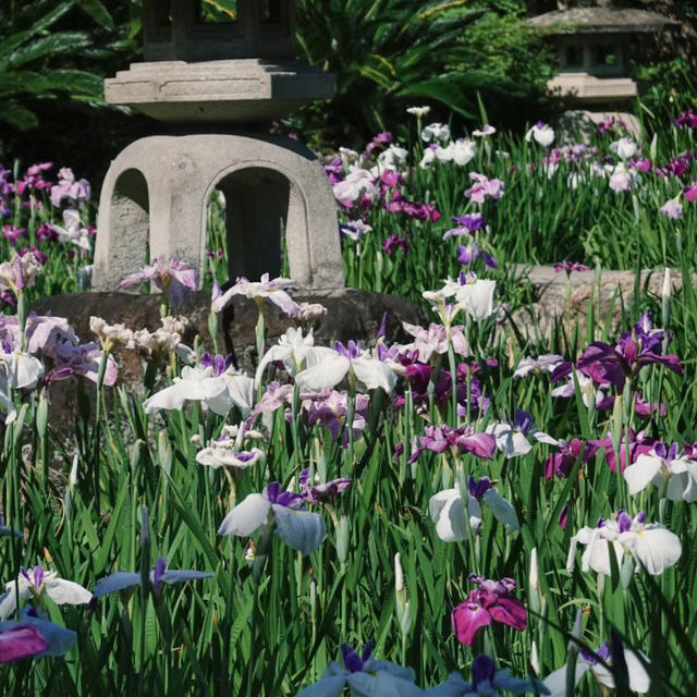「駿府城公園：歷史與自然美景，四季美景適合漫步」