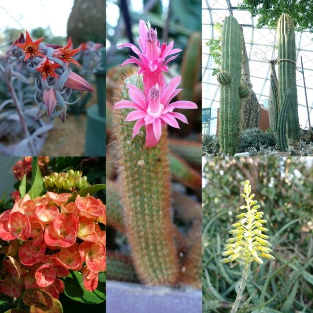 新加坡奇幻世界花園😻