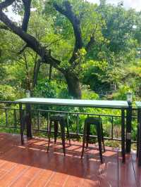 ชมนก Cafe & Restaurant @ นครนายก