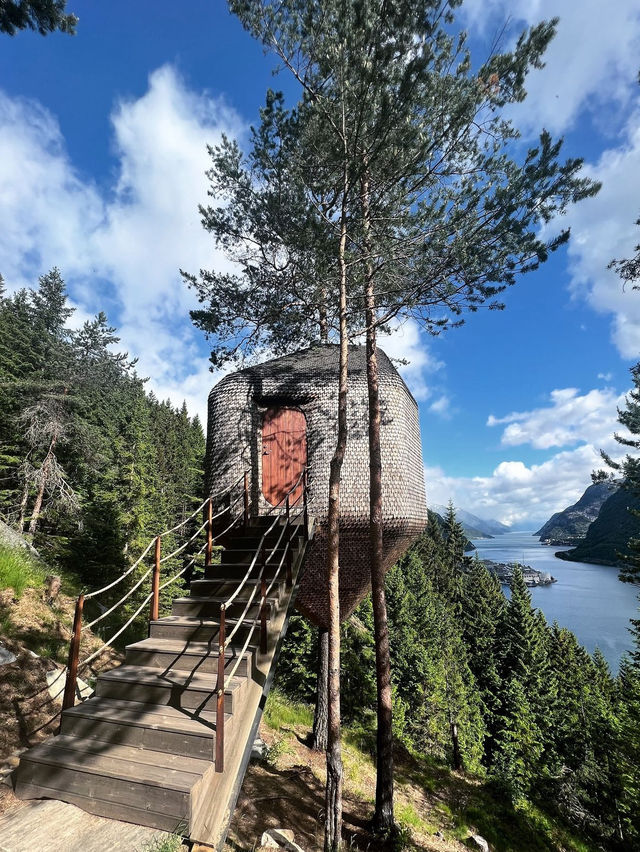 Woodnest - must stay in Norway 😍🤏