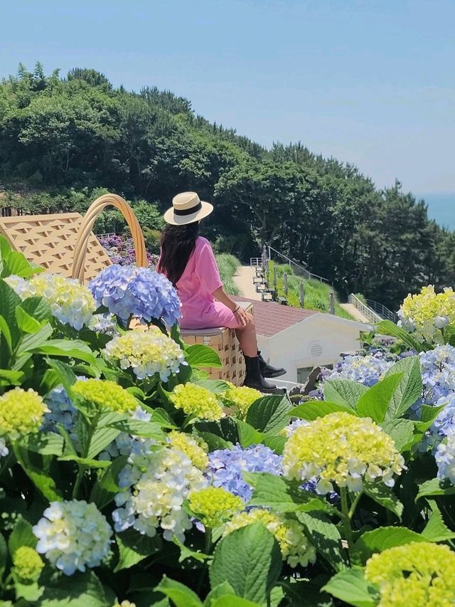 귀여운 포토존이 가득한 거제 수국카페💜