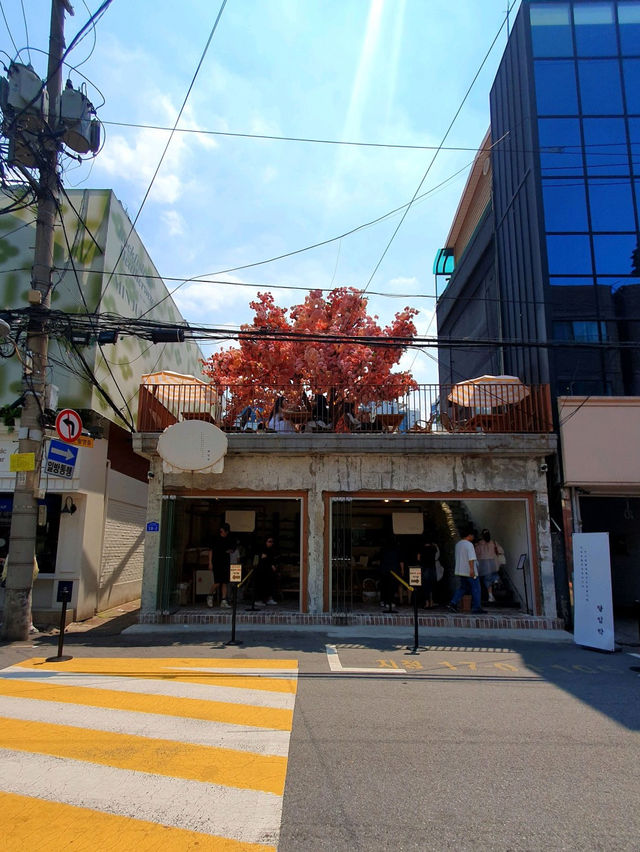성수카페 연무장길 데이트 코스 추천 달임막