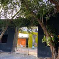 Explore paradise on Kish Island: pristine beaches, vibrant culture