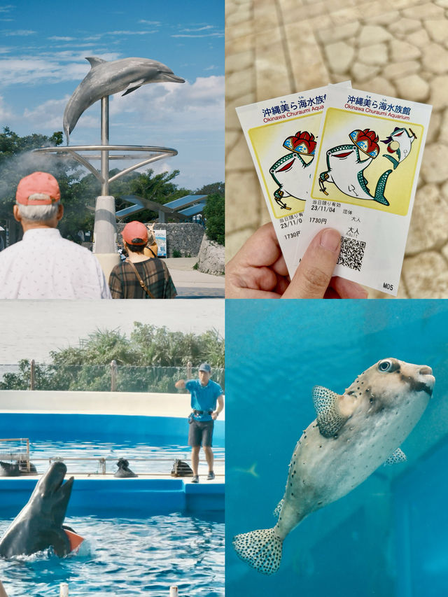沖繩4天3夜自由行 這篇攻略請收好❗️❗️  