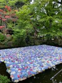 誰もが一度は見たい水中華🥰💠💐圧巻の紫陽花演出は必見！