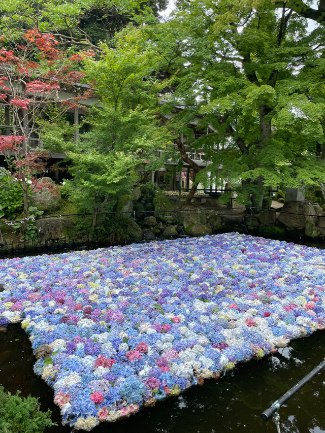 誰もが一度は見たい水中華🥰💠💐圧巻の紫陽花演出は必見！