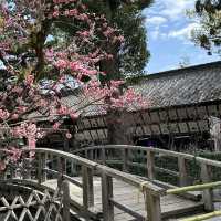 〜京都府〜学問、芸能のパワースポット！北野天満宮