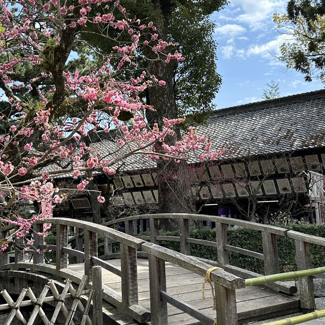 〜京都府〜学問、芸能のパワースポット！北野天満宮