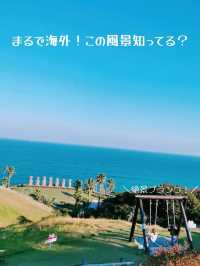 【宮崎】まるで海外!?モアイ像が見られるおすすめスポット
