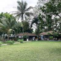 RUPA SPACE | STILL FRESH FROM CISAUK TANGERANG