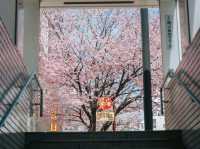 Sapporo