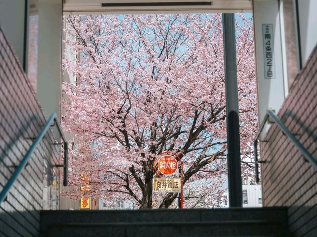 Sapporo