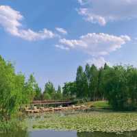 星湖濕地公園：絕佳自然勝地，令人陶醉的樂趣