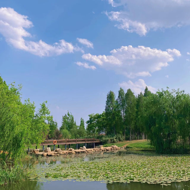 星湖濕地公園：絕佳自然勝地，令人陶醉的樂趣