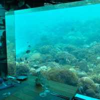 Savoring the Depths of Luxury: Anantara Kihavah Maldives Villa's Underwater Lunch