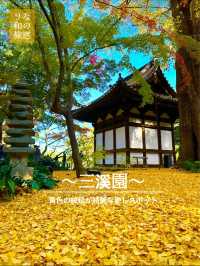 〜神奈川県〜横浜の小京都！秋の三溪園